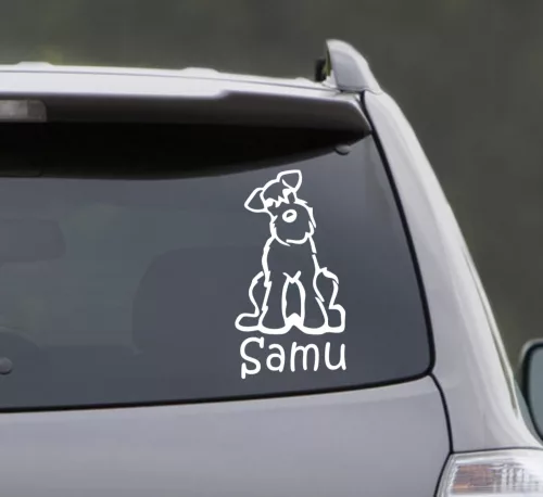 Törpe snaucer Autómatrica,Falmatrica 