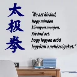   Ne azt kívánd, hogy minden könnyen menjen falmatrica kétszínben