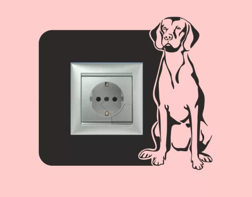 Vizsla 287 kapcsolómatrica