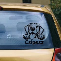 Vizsla autósmatrica (2.változat)