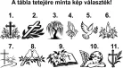 Sírhely felirat UV-álló műanyagból – Időtálló emlék szeretteinknek