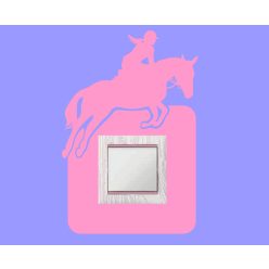 Lovaslány kapcsolómatrica  369