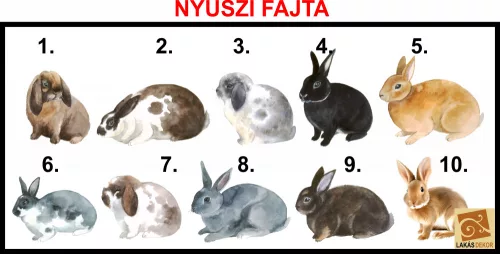 Család, ahol az élet kezdődik... egyedi bögre