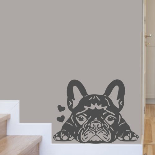 Francia bulldog 7 falmatrica