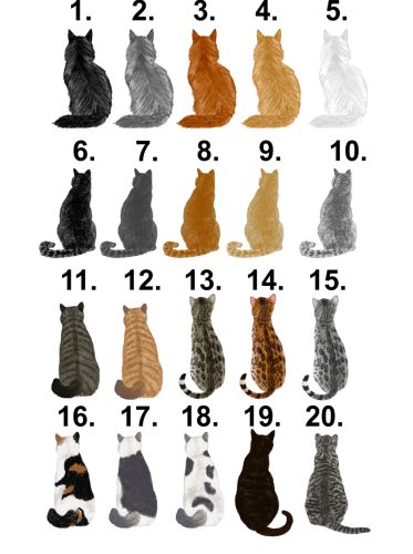 My Family Kiskedvenc cicám egyedi bögre