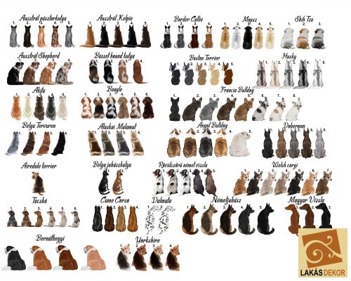 Ők nem csak kutyák... egyedi bögre