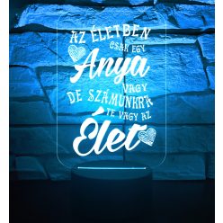 Az életben csak egy Anya vagy..3D hatású led lámpa