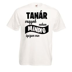 Tanár vagyok nekem mindig igazam van férfi póló