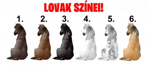 Lovam és Én a legjobb barátok örökké gyerek póló