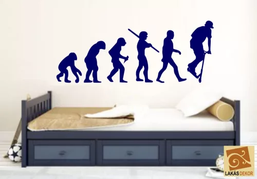 Evolution Rolleres Falmatrica