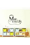 Music is my life falmatrica