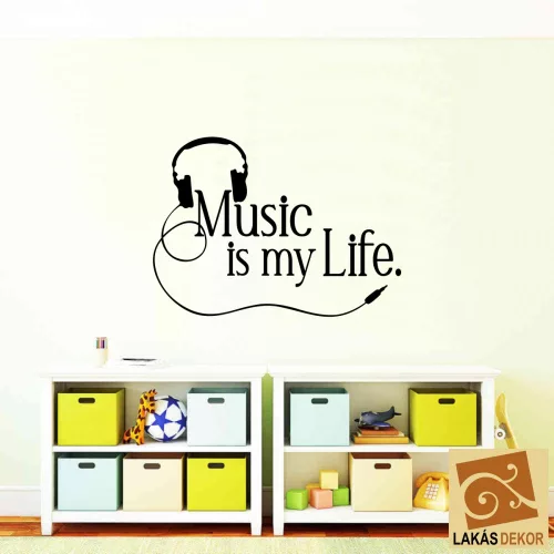 Music is my life falmatrica