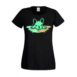 Francia bulldog kölyök