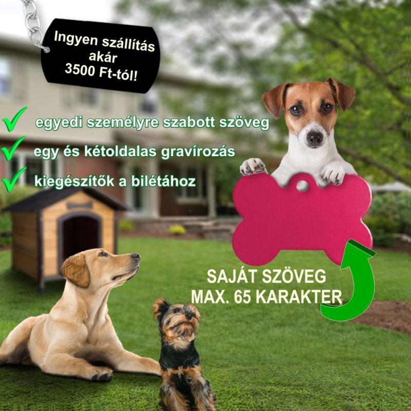 1. Saját szövegem! Tetszőleges szöveg maximum 65 karakterrel