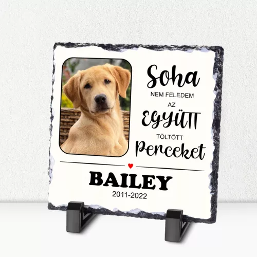 Egyedi Háziállat Emléktábla