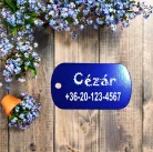 Dögcédula QR kóddal