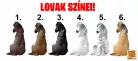 Az élet jobb a lovammal személyre szabható lovas bögre