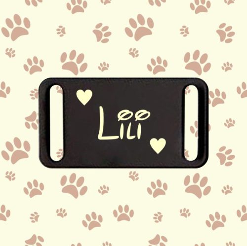 6. Nyakörvre tehető biléta (Csak név vagy telefonszám és szív!)