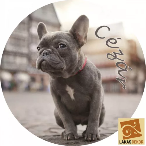 Francia bulldog hűtőmágnes egyedi névvel