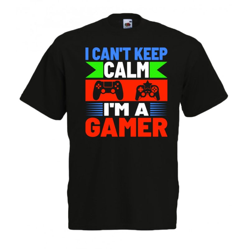 I Can't Keep Calm I'm a Gamer