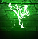 Karate 7 színű 3D LED lámpa egyedi névvel
