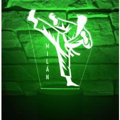 Karate 7 színű 3D LED lámpa egyedi névvel