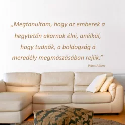   Megtanultam, hogy az emberek a hegytetőn akarnak élni.. falmatrica