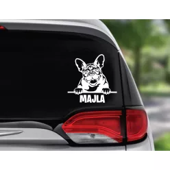 3. Francia bulldog autósmatrica