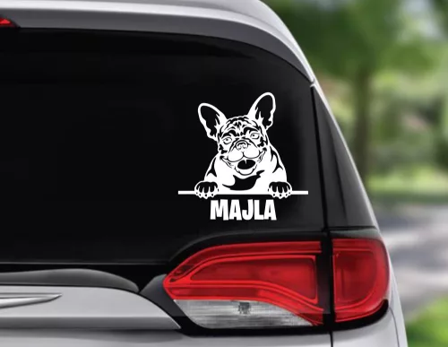 3. Francia bulldog autósmatrica