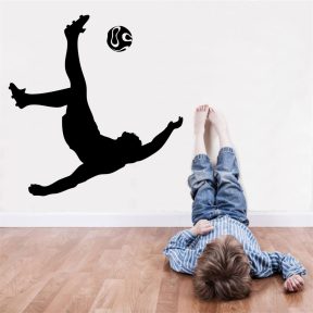 Sport falmatrica, hobbi falmatricák