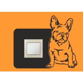 Állatmintás kapcsolómatrica