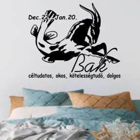 Horoszkóp falmatrica